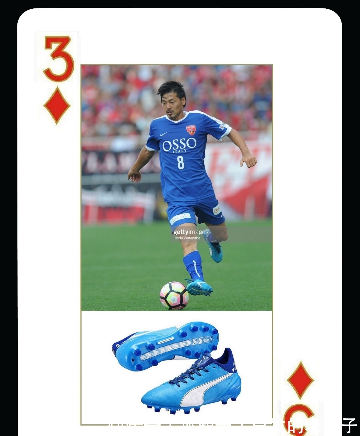 波小将
